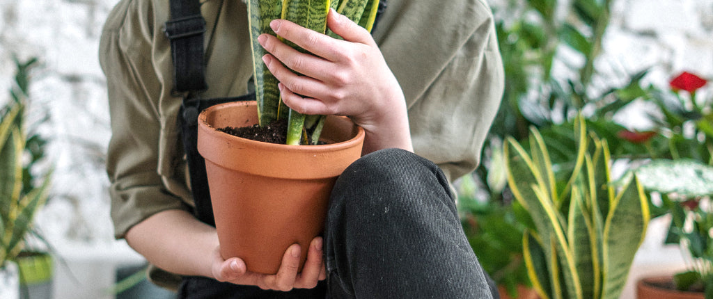 Essere 'green' aiuta
