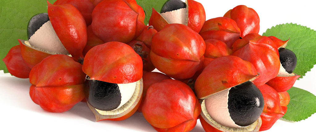 Guaranà: una pianta miracolosa